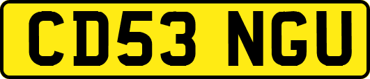 CD53NGU