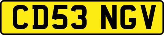 CD53NGV