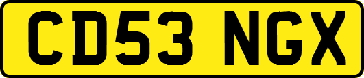 CD53NGX