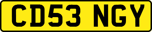 CD53NGY