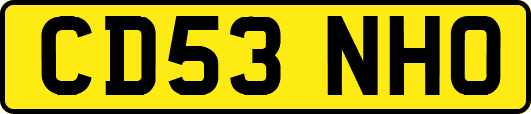 CD53NHO