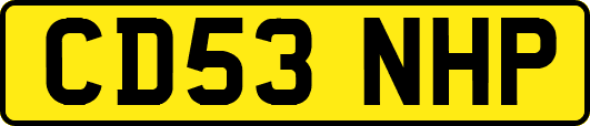 CD53NHP