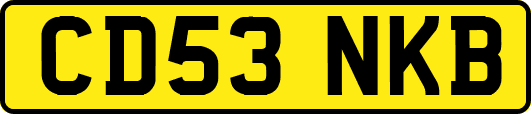 CD53NKB