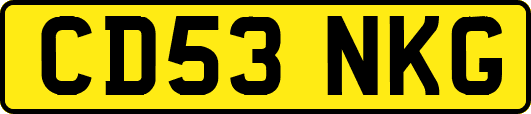 CD53NKG