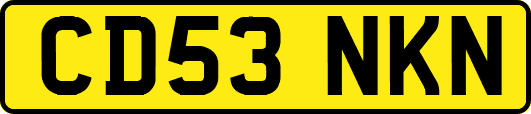 CD53NKN