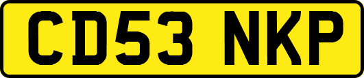 CD53NKP