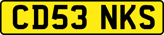 CD53NKS