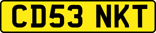 CD53NKT