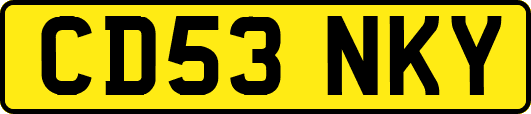 CD53NKY