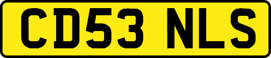 CD53NLS
