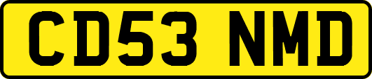 CD53NMD
