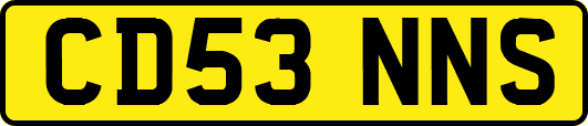 CD53NNS