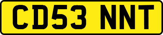 CD53NNT