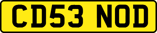 CD53NOD