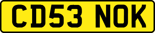 CD53NOK