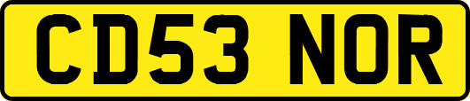 CD53NOR
