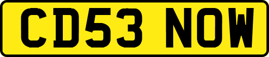 CD53NOW