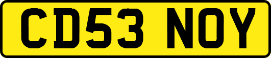 CD53NOY
