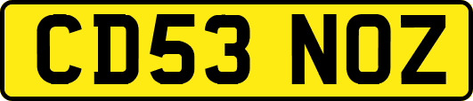 CD53NOZ