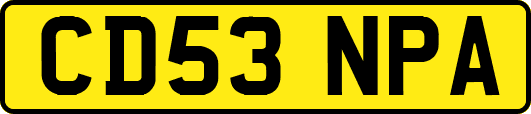 CD53NPA