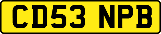 CD53NPB