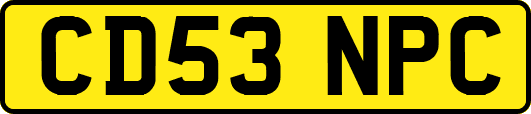 CD53NPC