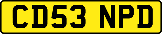 CD53NPD