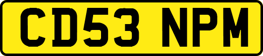 CD53NPM