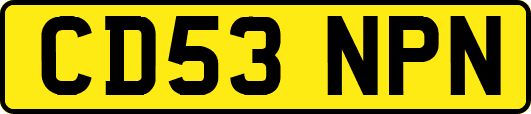CD53NPN