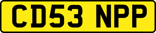 CD53NPP