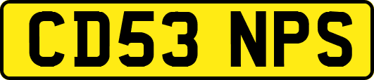 CD53NPS