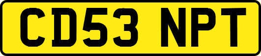 CD53NPT