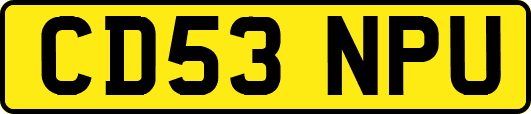 CD53NPU