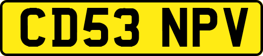 CD53NPV