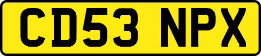 CD53NPX