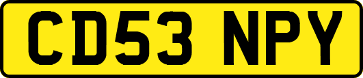 CD53NPY