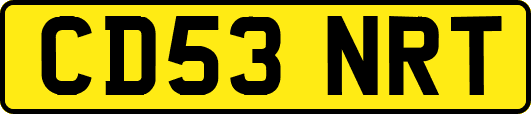 CD53NRT