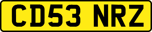 CD53NRZ