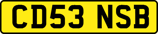 CD53NSB