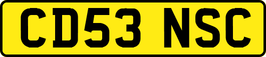 CD53NSC