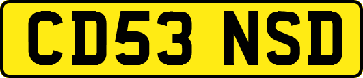 CD53NSD