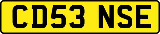 CD53NSE