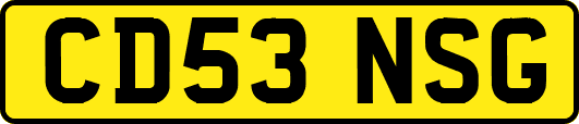 CD53NSG