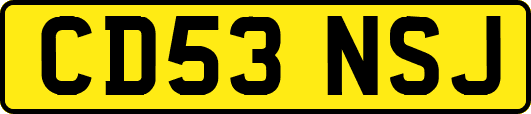 CD53NSJ