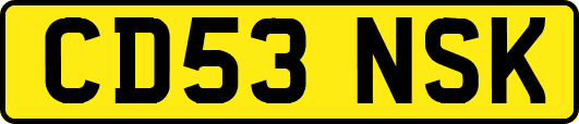 CD53NSK
