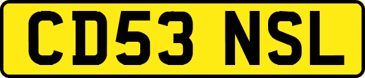CD53NSL