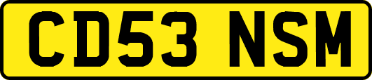 CD53NSM