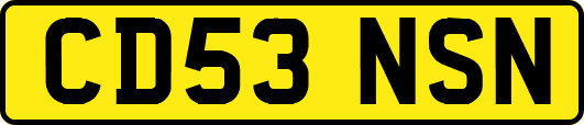 CD53NSN