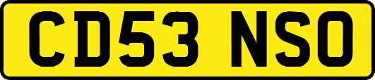 CD53NSO