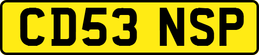 CD53NSP
